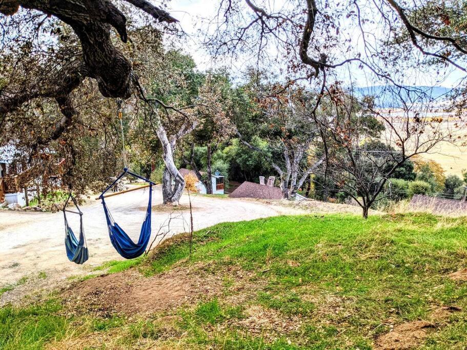 The Luminous Lodge-Remodeled Cabin W/ Valley Views Santa Ysabel 外观 照片